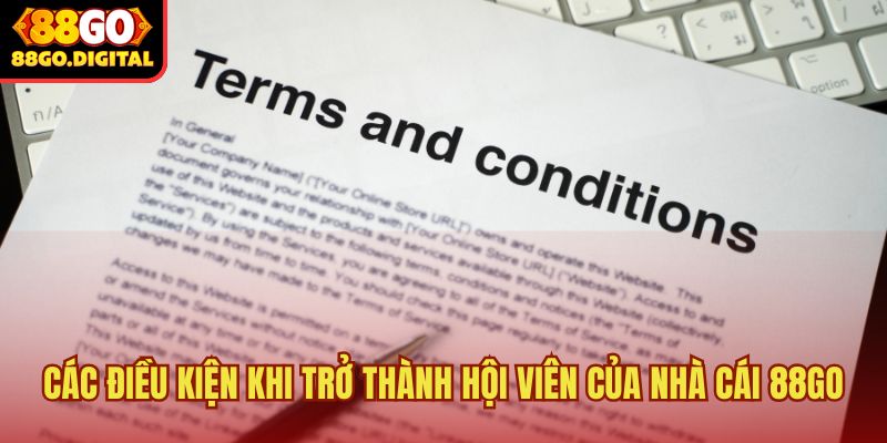 Điều khoản và điều kiện