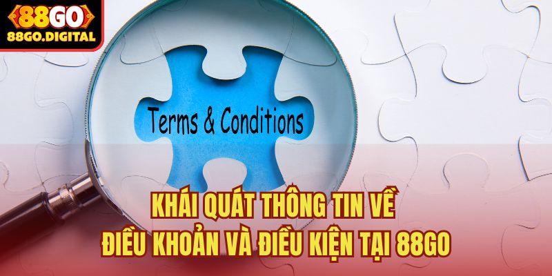 Điều khoản và điều kiện